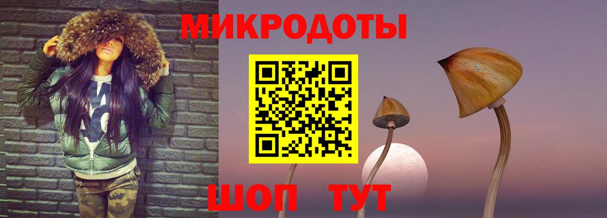Галлюциногенные грибы Psilocybe Сочи
